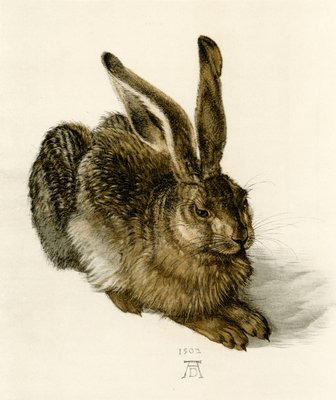 Dominando a Fluidez: O Legado de Albrecht Dürer na Aquarela
